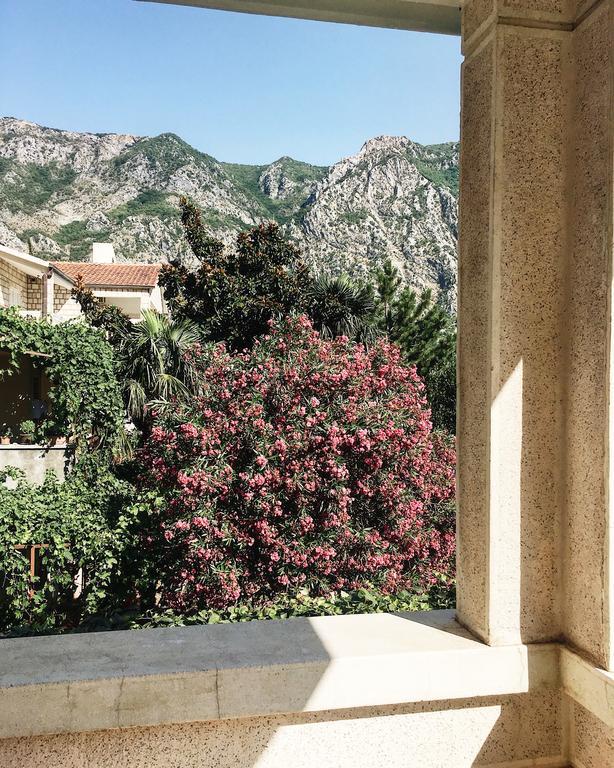 Villa Teuta Risan Szoba fotó